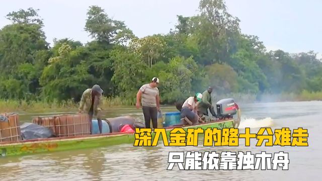 南美小国苏里南,遍地黄金讲汉语过春节,无数淘金人深入雨林淘金(3)