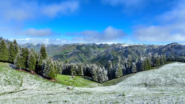 糖霜质感!新疆阿克塔斯草原现别样夏日飞雪