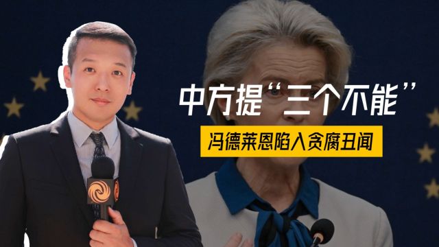 中欧峰会召开,冯德莱恩直言无意与中国“脱钩”,态度有变化