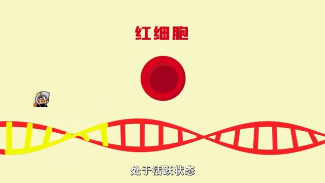 细胞分化:生物个体发育的基础 #高中生物 #知识分享 #细胞的全能性 #干细胞