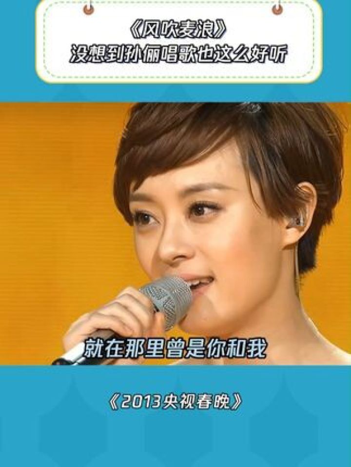 孙俪真是多才多艺啊#2013央视春晚#鹅滴神片#光影探春季#孙俪#李健_高清