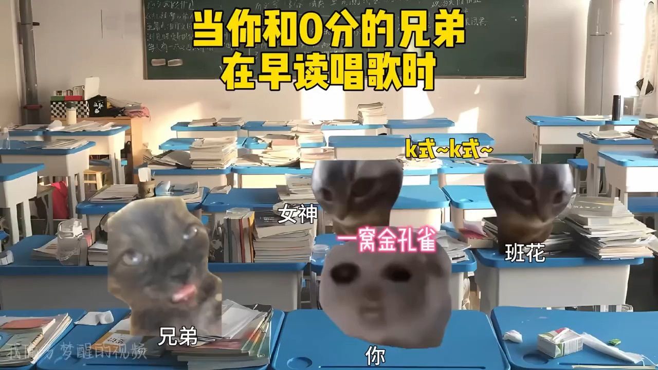 当你和0分的兄弟在早读唱歌时.#猫meme#音乐分享#戴上耳机#热点#猫meme小剧场_高清1080P在线观看平台_腾讯视频