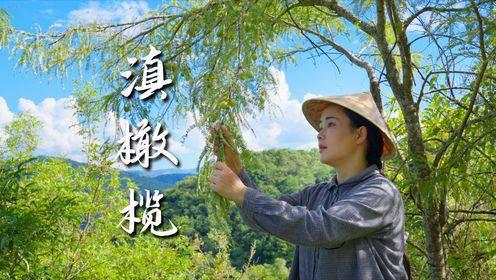 一席一果(四十二)滇橄榄——云南饮食里的“灵魂配角”_高清1080P在线观看平台_腾讯视频