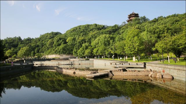 实拍浙江诸暨城市广场:树高林密,市民健身乐园