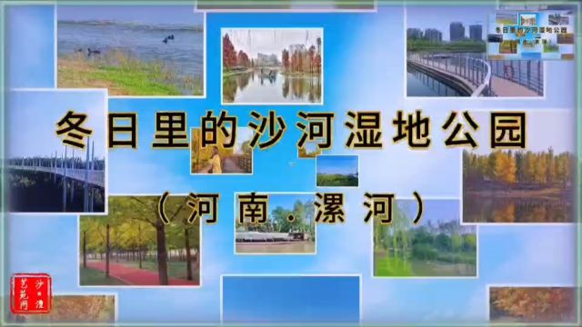 冬日里的沙河湿地公园