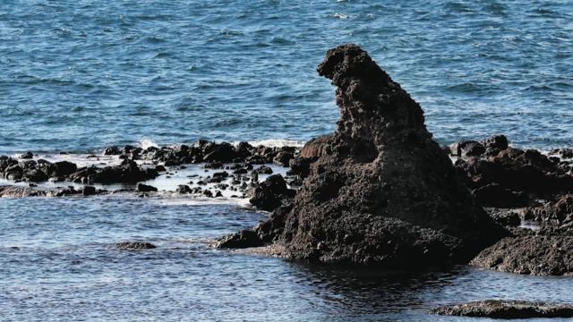 日本石川县震后上演“沧海桑田”,旅游景点“哥斯拉岩”现身陆地