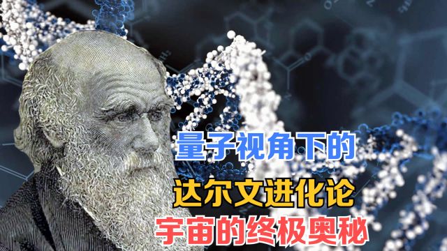 量子视角下的达尔文进化论,宇宙的终极奥秘