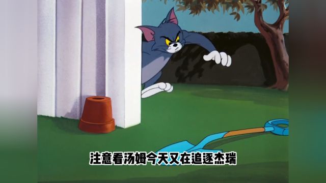 猫和老鼠搞笑动画