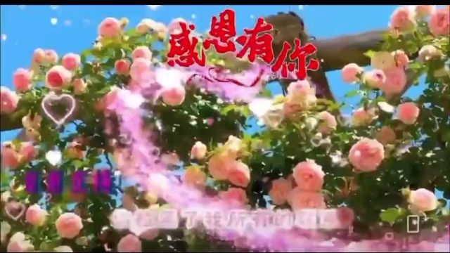 热门好听歌曲