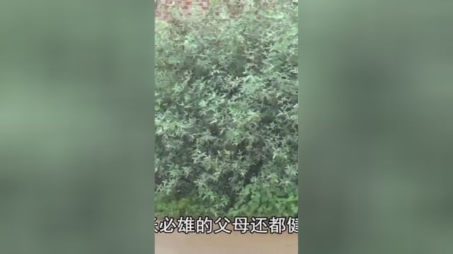 死不瞑目(2)层层追查,凶手竟人间蒸发,凶手究竟去往何方