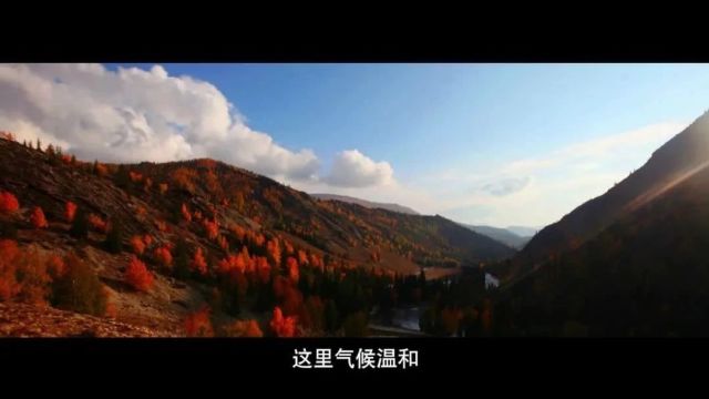 新疆生产建设兵团110师宣传片