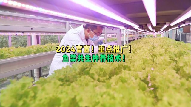 养鱼不换水种菜不施肥的鱼菜共生生态种养技术进入2024年重点推广水产养殖技术名录,这是官方对行业的认可,必将促进行业的快速发展,未来已来,你准...