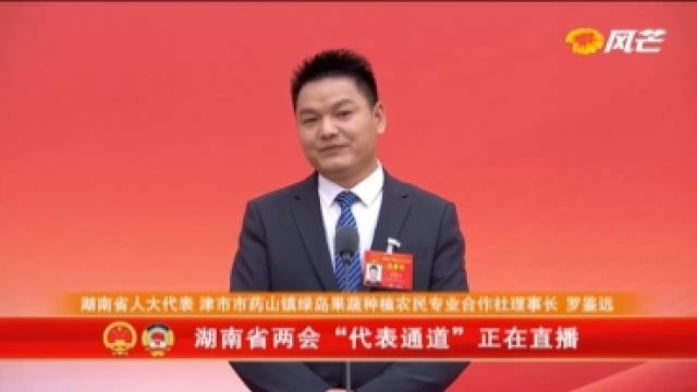 罗鉴远:家门口就业 杨坝垱村绿水青山迎青年回乡丨直击代表通道②