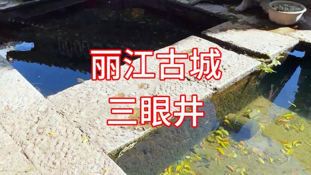 三眼井是利用地下喷涌出的泉水源,依照地势高差修建三级水潭!