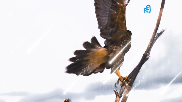 励志之文 愿莹莹之火给你些许光明 点点笔墨 祝你困顿之路生机盎然