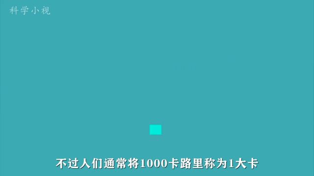 卡路里是什么,我们每天需要摄入多少卡路里?