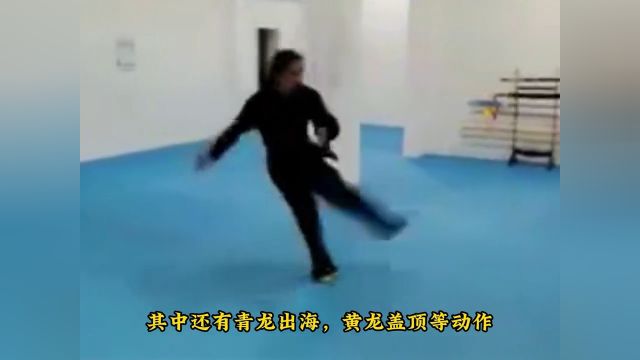 大师展示龙华拳威力,身形如青龙,动作如闪电龙华拳功夫武术大师