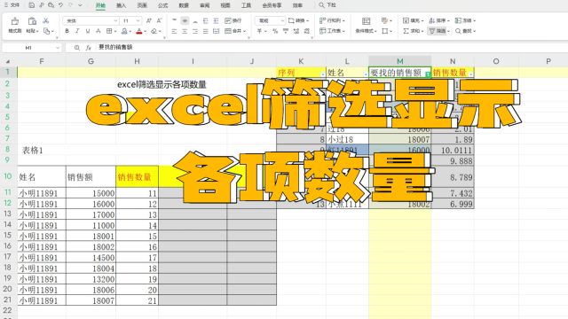 excel筛选显示各项数量