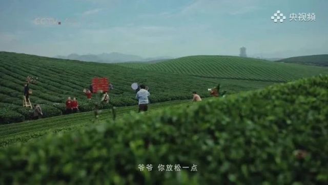 【文旅】赏梅品茶寻年味,龙年春节来湄潭!