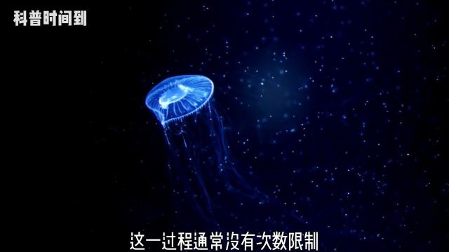 微距世界:海星竟然有屁股灯塔水母永生