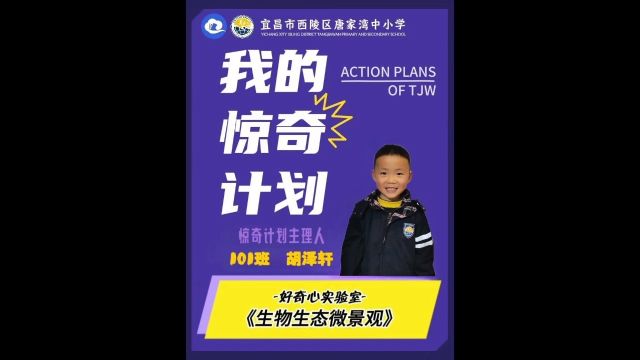 大家好,我是惊奇计划主理人,来自西陵区唐家湾中小学101班的胡泽轩