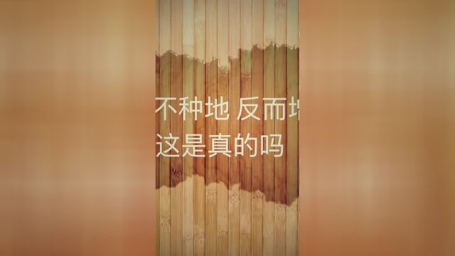 农户不种地也能增收的秘密是什么?