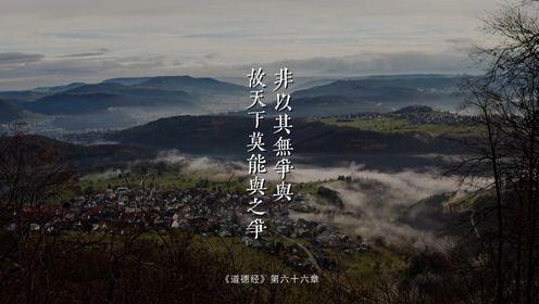 老子《道德经》第六十六章“非以其无争与？故天下莫能与之争”因为我不争，所以天下没人能与我争。不是解偏了