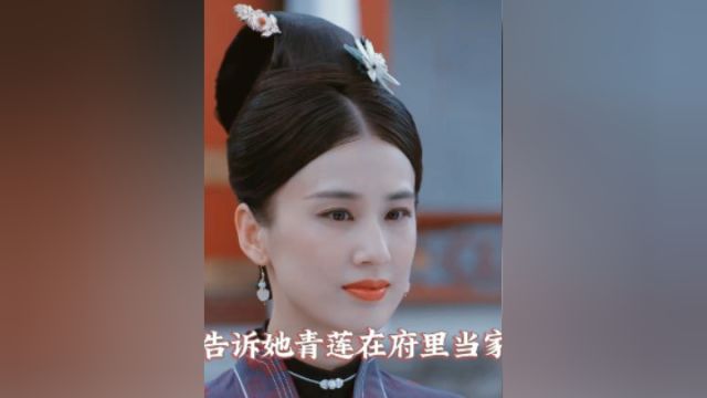 海瑶回府,这一次又要闹出什么腥风2