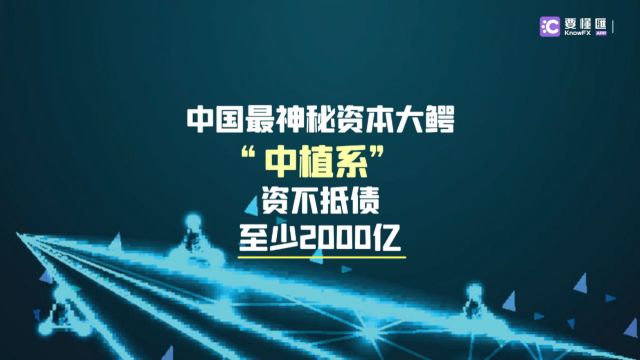 要懂汇:中国最神秘资本大鳄“中植系”,资不抵债至少2000亿!