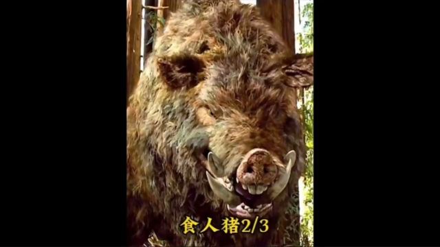 村庄惊现800公斤巨型变异野猪,竟没想到是只食人猪!