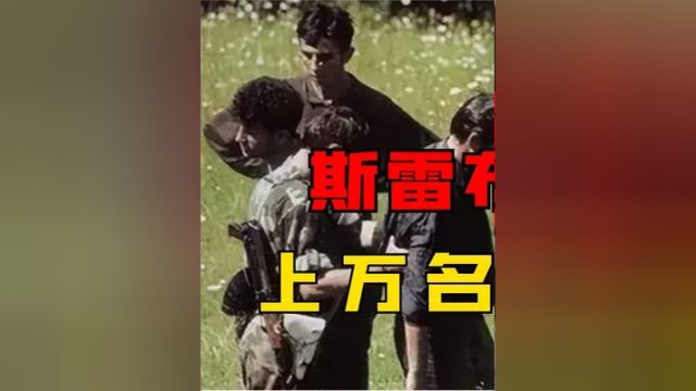 第一集,1995年斯雷布雷尼察大屠杀,塞军无视联合国,上万名民众惨遭毒手#真实影像 #维和 #塞尔维亚