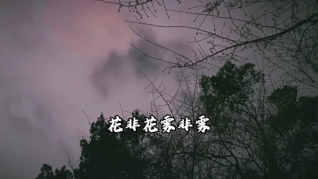 花非花雾非雾 #家乡的天空