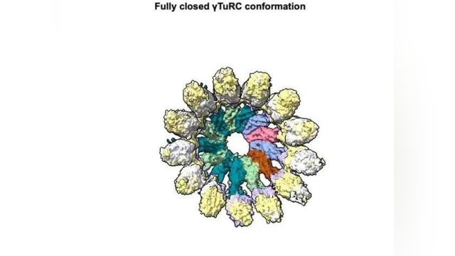 《科学》:揭秘这个关键细胞过程,有望带来全新癌症疗法