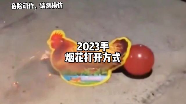 #烟花 #搞笑 #视频来源于网络 #花式放炮 2023年正确烟花打开方式