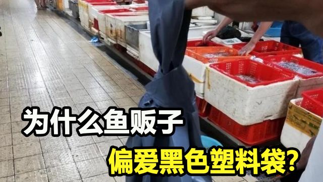 为何鱼贩子偏爱黑色塑料袋?里面的门道,你被坑了几个?