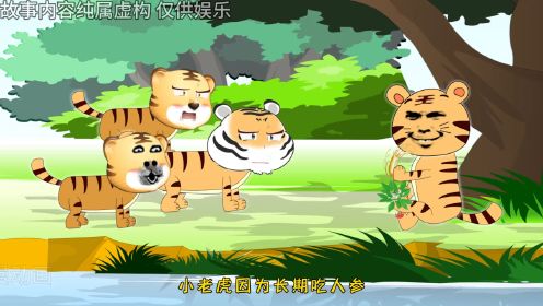 小老虎因为长期吃人参，体型远超成年老虎 #沙雕动画19