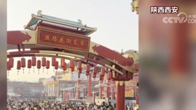 锦绣中国年ⷥ“中国年味