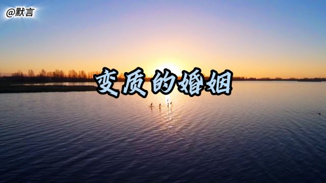 2月26日(1)