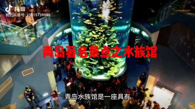 青岛著名景点之水族馆