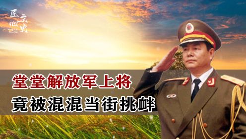 堂堂解放军上将刘镇武，竟被混混当街挑衅，将军大怒：不要手软！