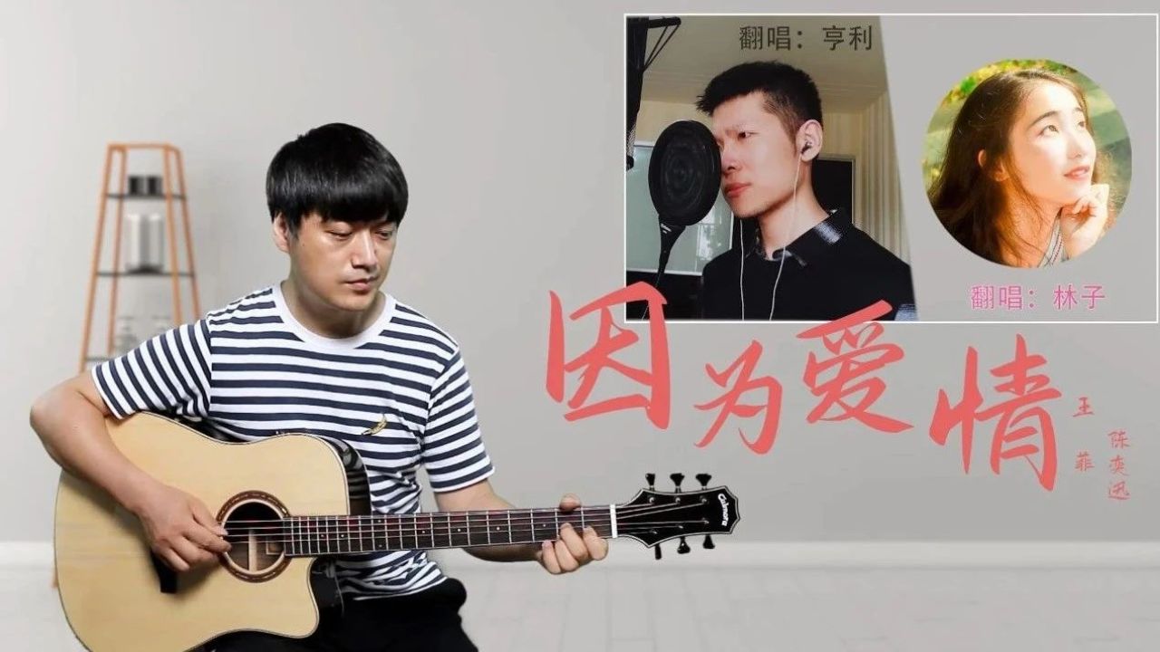 《斑马斑马》宋冬野|中级版 吉他谱 演示 教学