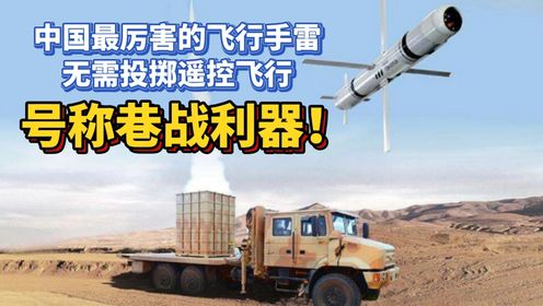 中国最厉害的飞行手雷，无需投掷遥控飞行，号称巷战利器！