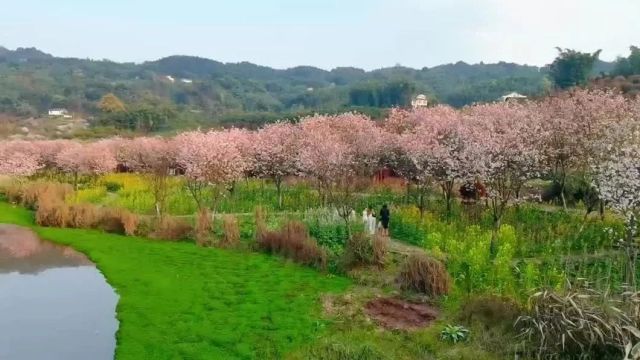 【文旅】赏春景、享春光、品春味......我们花朝节见!