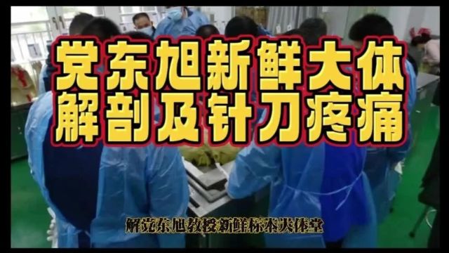 2024年广州郑州党东旭全国针刀微创新鲜人体解剖及疼痛科临床实战精讲班(学好解剖,才能更好治疗 解刨精讲+临床诊断+实操演示)