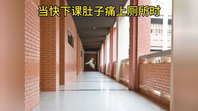 内容过于真实记录猫咪日常猫咪