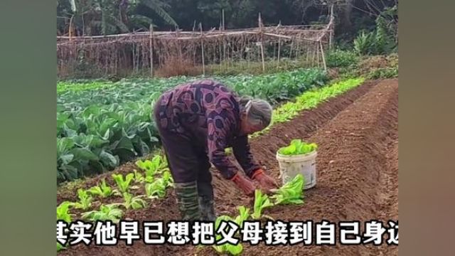 百善孝为先,知名企业老总回家帮母亲挑粪水