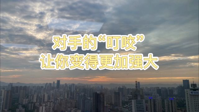 对手的“叮咬”,让你变得更加强大