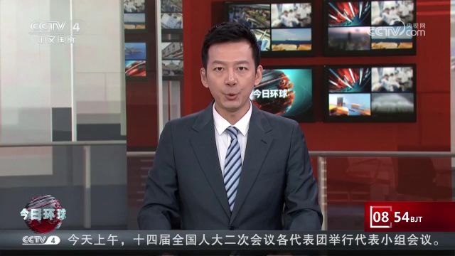 宁夏青铜峡:大天鹅与豆雁“共舞”,候鸟北归春意浓