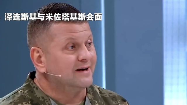 泽连斯基与米佐塔基斯会面