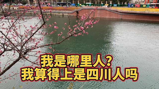 我是哪里人?算得上是四川人吗?真是羡慕你们四川土著